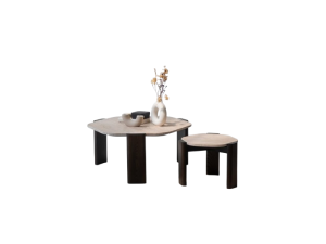 Oled Coffe Table