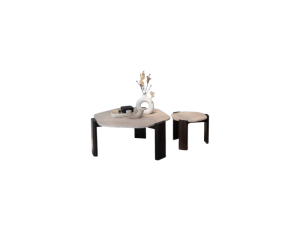 Oled Coffe Table