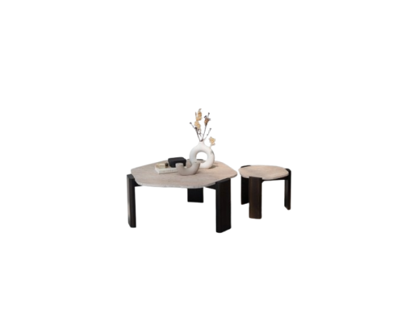 Oled Coffe Table - Image 2